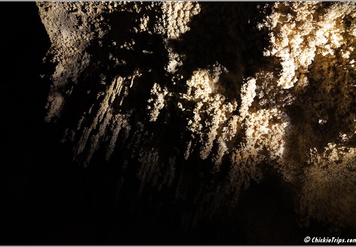 Carlsbad Caverns National Park - New Mexico 054