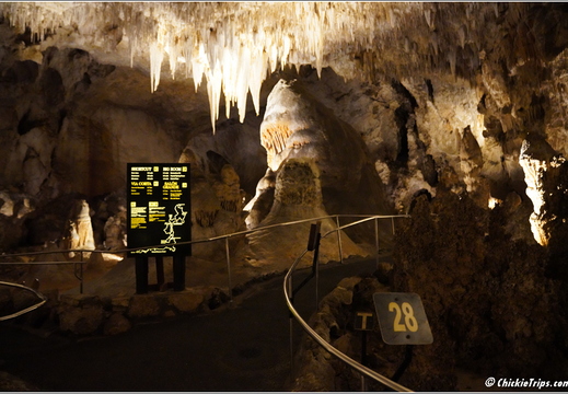 Carlsbad Caverns National Park - New Mexico 071
