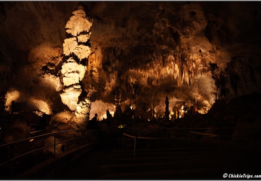 Carlsbad Caverns National Park - New Mexico 081