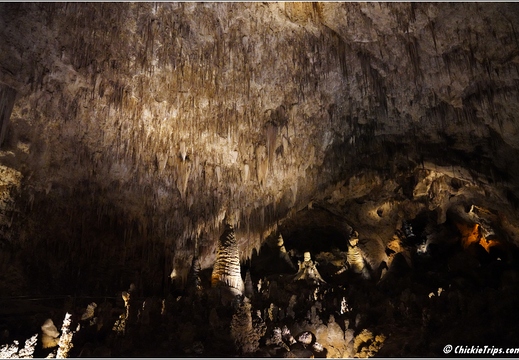 Carlsbad Caverns National Park - New Mexico 096