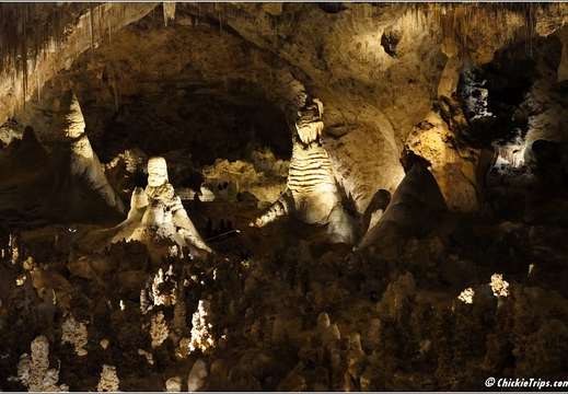 Carlsbad Caverns National Park - New Mexico 098