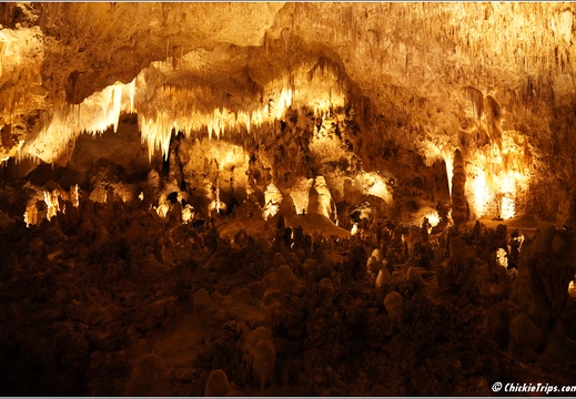 Carlsbad Caverns National Park - New Mexico 100