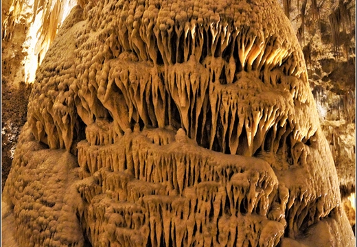 Carlsbad Caverns National Park - New Mexico 102