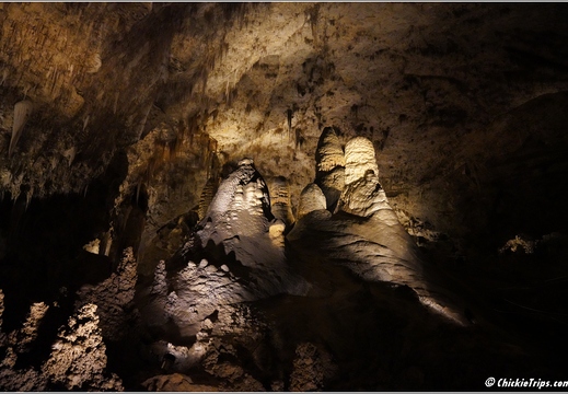 Carlsbad Caverns National Park - New Mexico 108