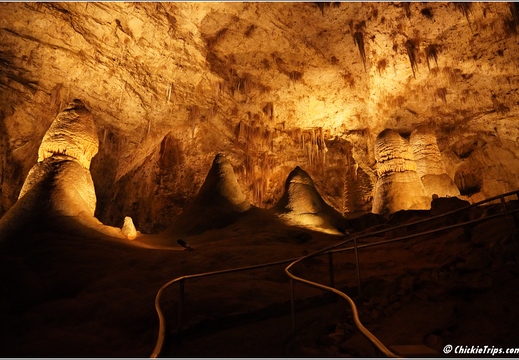 Carlsbad Caverns National Park - New Mexico 111