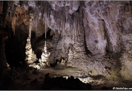 Carlsbad Caverns National Park - New Mexico 117