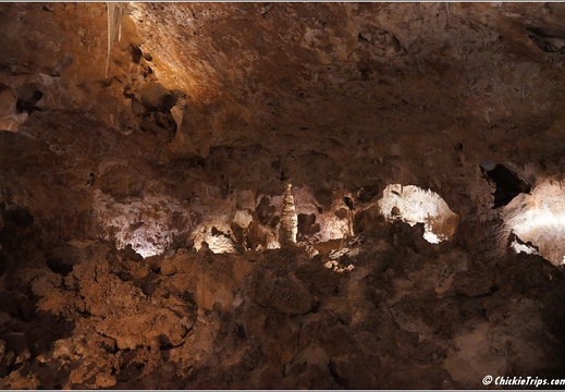 Carlsbad Caverns National Park - New Mexico 118