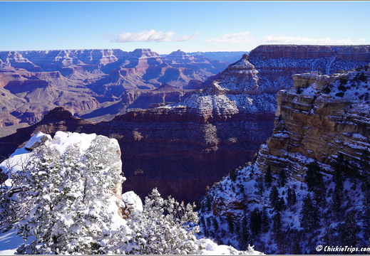 Grand Canyon National Park South Rim - Arizona 048