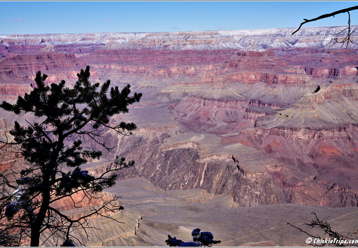 Grand Canyon National Park South Rim - Arizona 084