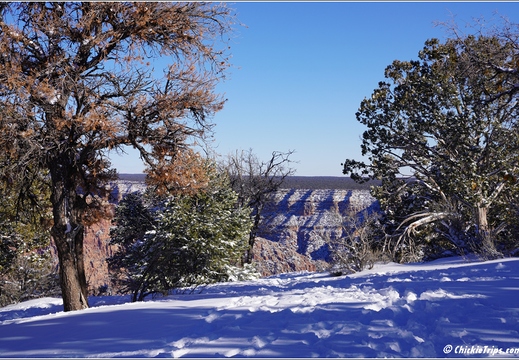 Grand Canyon National Park South Rim - Arizona 136