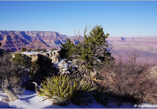 Grand Canyon National Park South Rim - Arizona 158