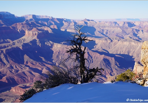 Grand Canyon National Park South Rim - Arizona 183