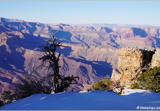 Grand Canyon National Park South Rim - Arizona 184