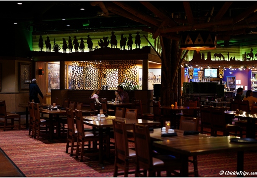 Grand Canyon National Park South Rim - Arizona 210