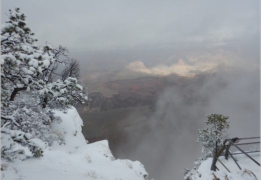 Grand Canyon National Park South Rim - Arizona 225