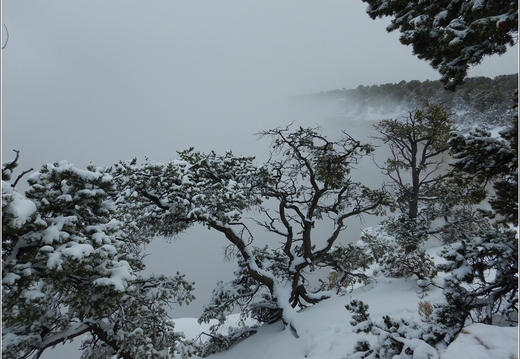 Grand Canyon National Park South Rim - Arizona 226