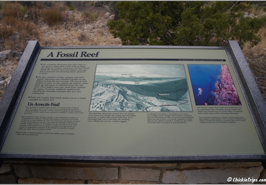 Guadalupe Mountains National Park - Texas 033