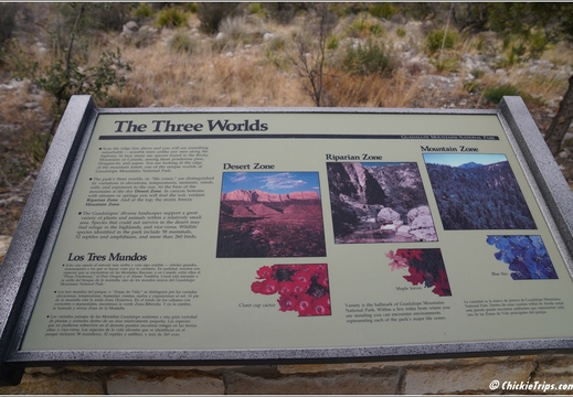 Guadalupe Mountains National Park - Texas 034