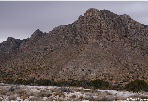 Guadalupe Mountains National Park - Texas 038