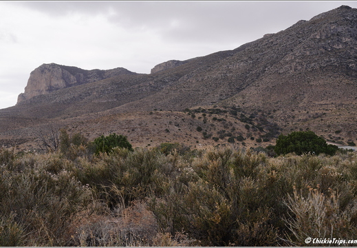 Guadalupe Mountains National Park - Texas 039