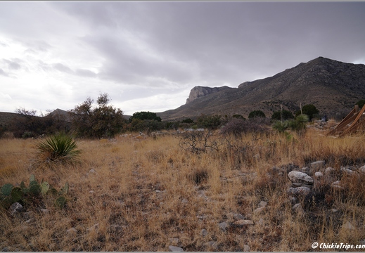 Guadalupe Mountains National Park - Texas 047