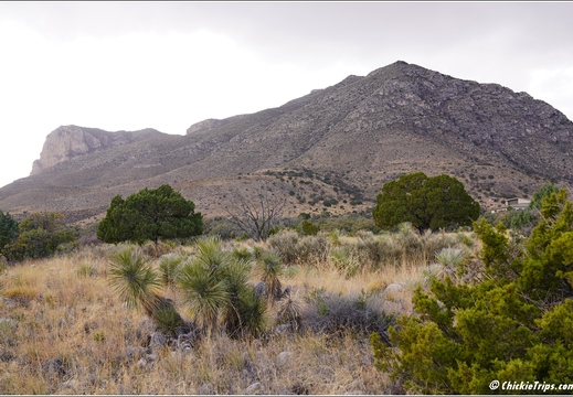 Guadalupe Mountains National Park - Texas 048