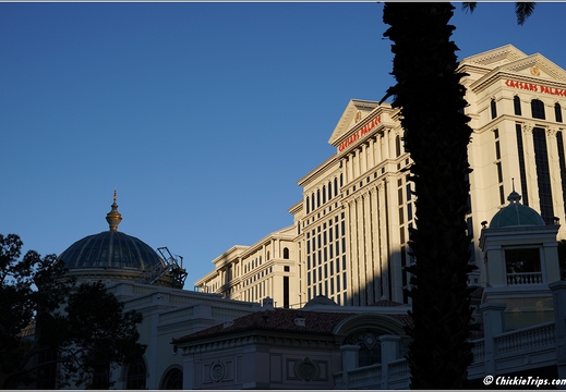 Las Vegas Strip - Nevada 015