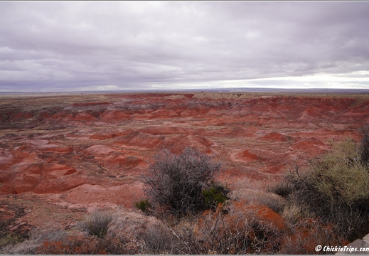Petrified Forest National Park - Arizona 018