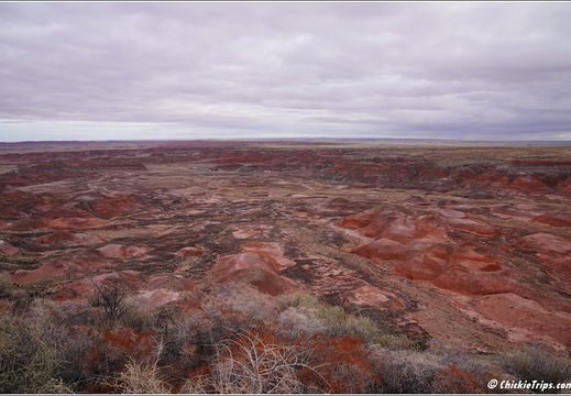 Petrified Forest National Park - Arizona 019