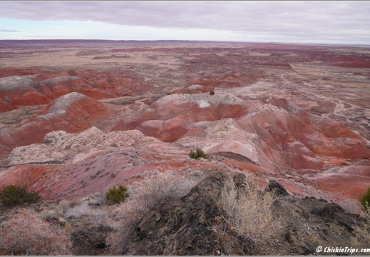 Petrified Forest National Park - Arizona 020