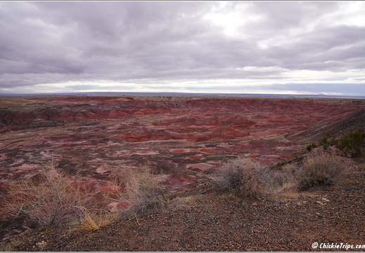 Petrified Forest National Park - Arizona 022
