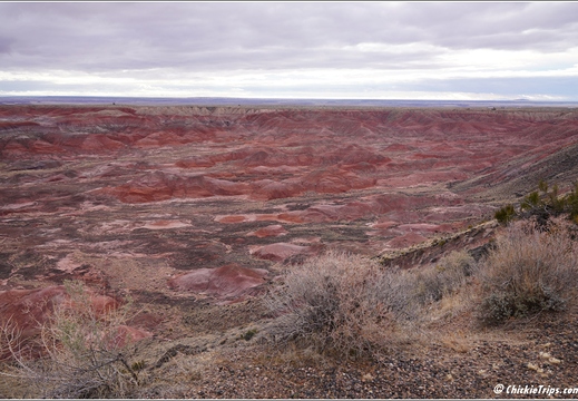Petrified Forest National Park - Arizona 023