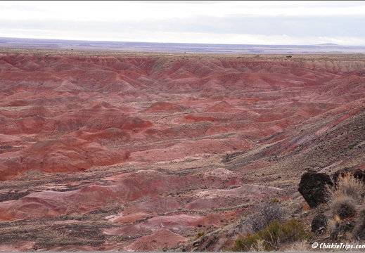 Petrified Forest National Park - Arizona 025