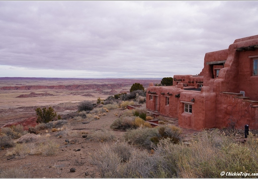 Petrified Forest National Park - Arizona 026