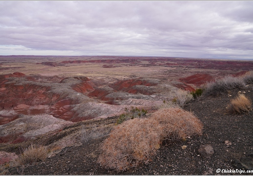 Petrified Forest National Park - Arizona 033