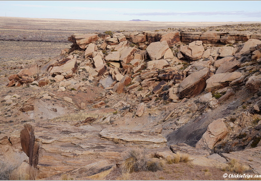 Petrified Forest National Park - Arizona 058