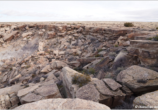 Petrified Forest National Park - Arizona 061