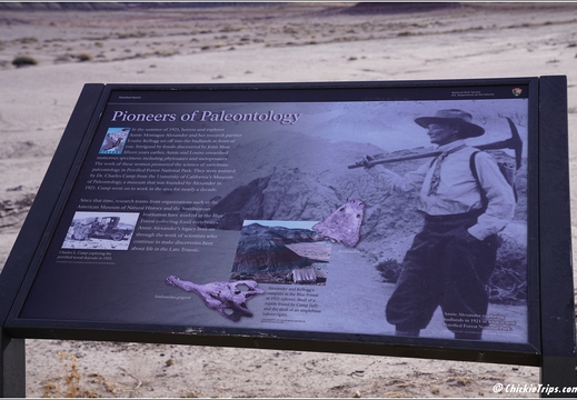 Petrified Forest National Park - Arizona 067
