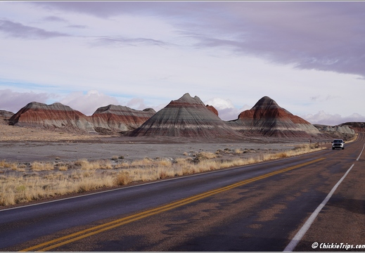 Petrified Forest National Park - Arizona 069