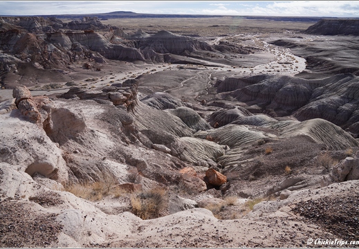 Petrified Forest National Park - Arizona 074
