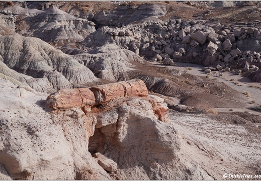 Petrified Forest National Park - Arizona 078
