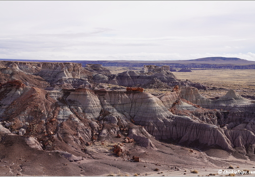 Petrified Forest National Park - Arizona 079