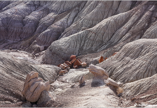 Petrified Forest National Park - Arizona 080