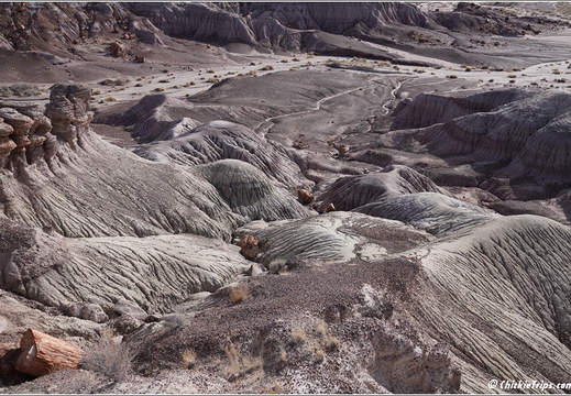 Petrified Forest National Park - Arizona 082