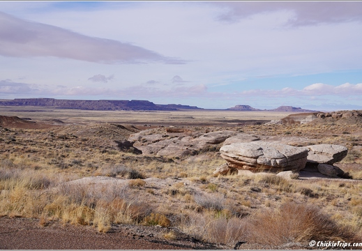Petrified Forest National Park - Arizona 085