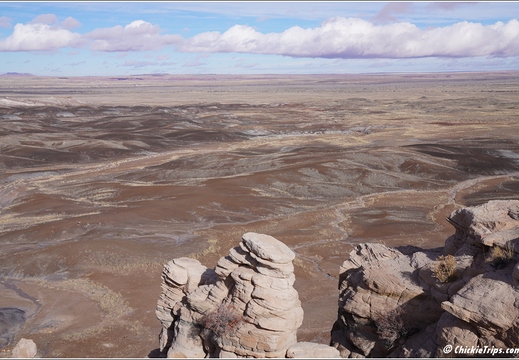 Petrified Forest National Park - Arizona 092