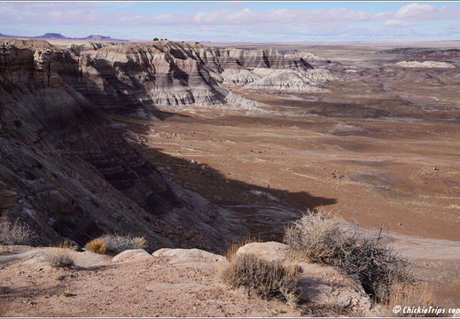 Petrified Forest National Park - Arizona 097