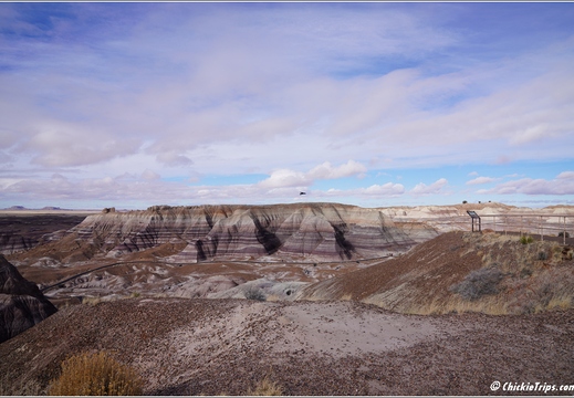Petrified Forest National Park - Arizona 114