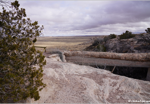 Petrified Forest National Park - Arizona 121