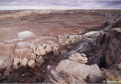 Petrified Forest National Park - Arizona 125